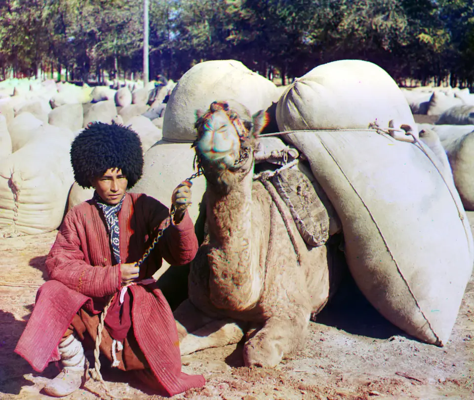 A man standing beside a camel loaded with packs and bundles for the road